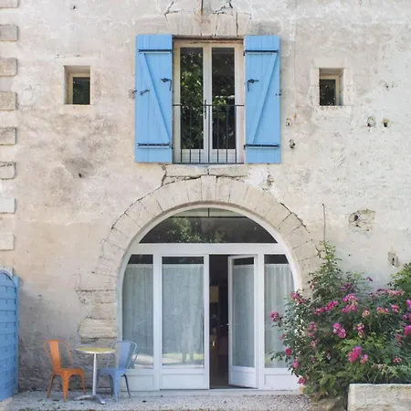Les Cypres De L'ile Avignon